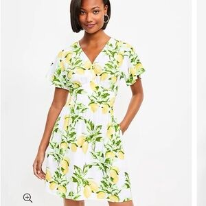 LOFT Lemon print flutter dress sz8 petite like new